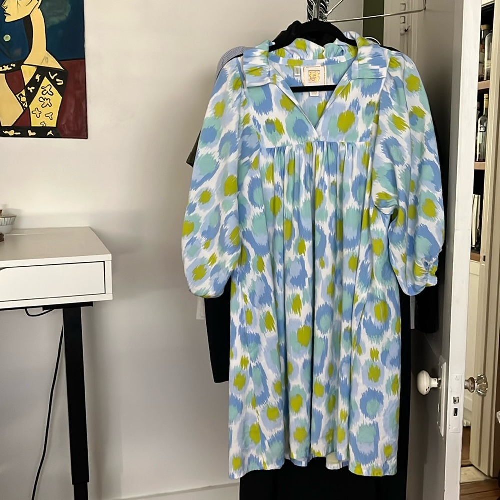 Emily McCarthy Stella Cheetah Ikat Dress